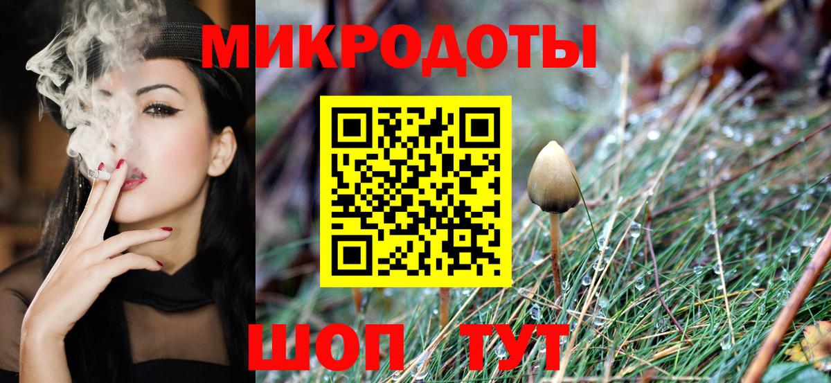 Псилоцибиновые грибы Psilocybine cubensis Сочи